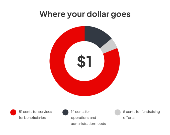 Dollar breakdown infographic