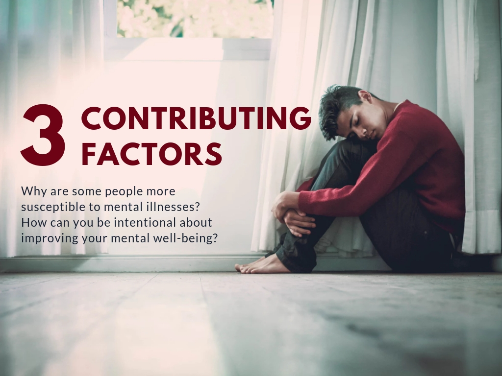 3 Contributing Factors to Mental Illness